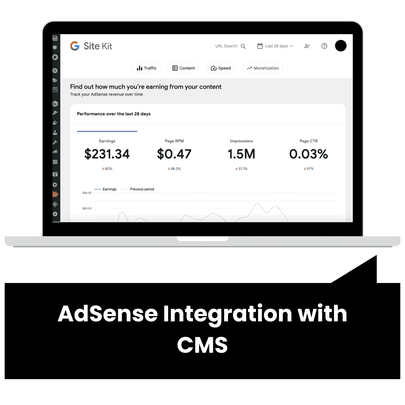 AdSense Integration with CMS