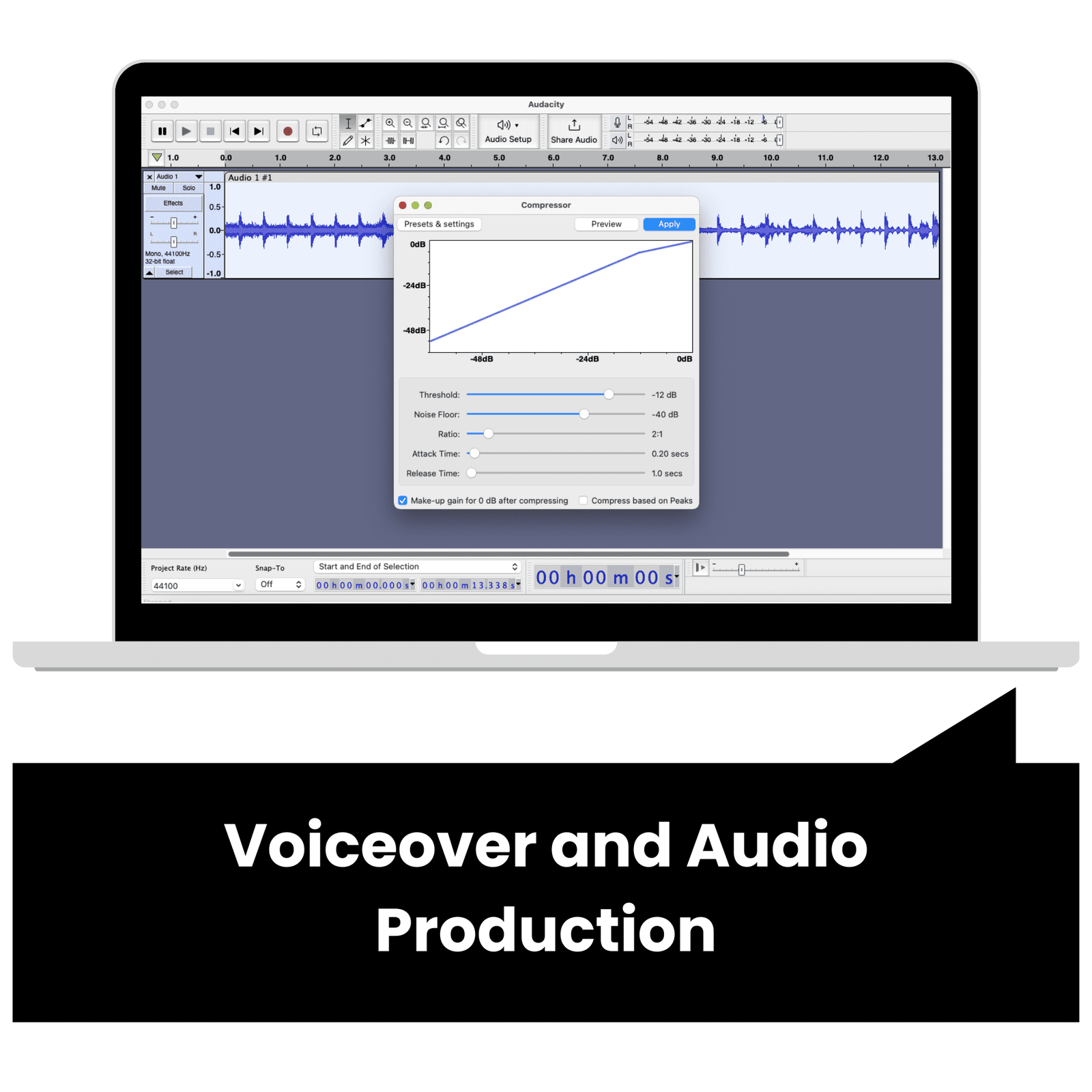 Voiceover and Audio Production